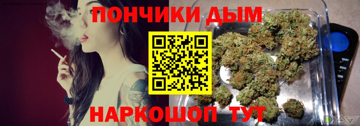 Каннабис планчик  Вход с VPN  Шишки марихуана VHQ  Бердск  Шишки марихуана гибрид 